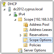 DHCP scope options